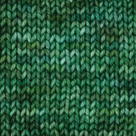 Symfonie Bella Variegated - VR4038 Fernfall