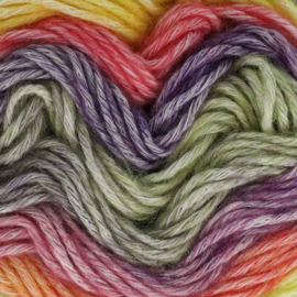 Scheepjes Stone Washed Flow 01 Delight