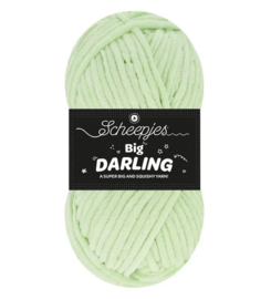 Scheepjes Big Darling 429 Toad