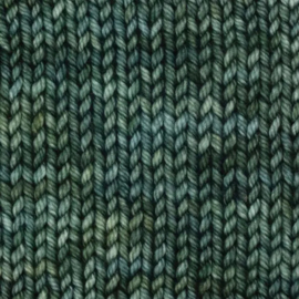 Symfonie Bella Variegated - VR4034 Willow
