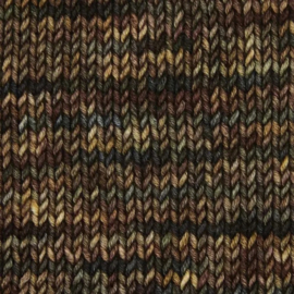 Symfonie Viva variegated - VR1003 Wilderness