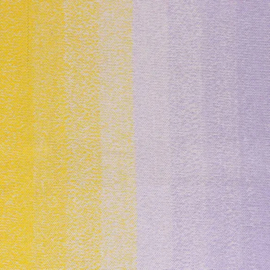 Scheepjes Cotton Whirl 716 - Purple Passion