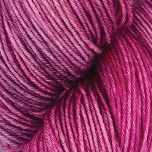 Symfonie Terra variegated - VR2020 Autumn Rose
