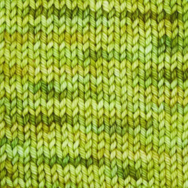 Symfonie Bella variegated - VR4027 Macha