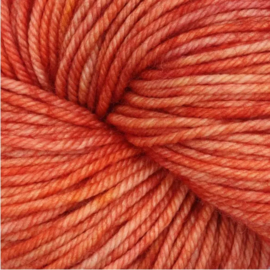 Symfonie Bella Variegated - VR4032 Apricot