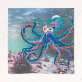 DMC Borduurkit Octopus