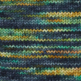 Symfonie Terra variegated - VR2001 Riverbank