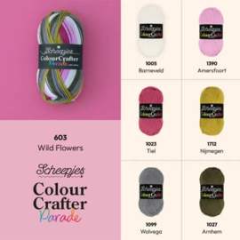 Scheepjes Colour Crafter Parade 603 Wild Flowers