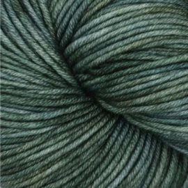 Symfonie Viva Variegated - VR1041 Willow