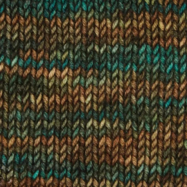 Symfonie Viva variegated - VR1013 Himalayas