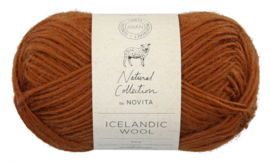 Novita Icelandic Wool 663 - Bolete 