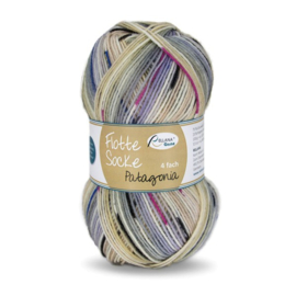 Flotte Socke  Patagonia - 1655 Grijs-ecru-beige