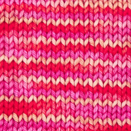 Symfonie Bella variegated - VR4016 Rhubarb