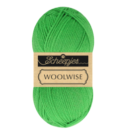 Scheepjes Woolwise 757 - Kiwi Green