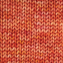 Symfonie Bella Variegated - VR4032 Apricot