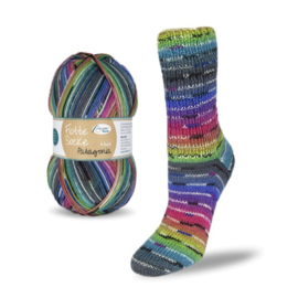 Flotte Socke  Patagonia - 1650 Multicolour