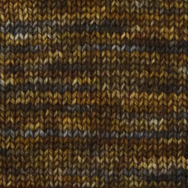 Symfonie Terra variegated - VR2003 Wilderness