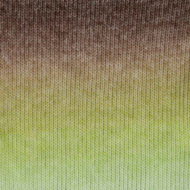 Scheepjes Stone Washed Flow 04 Reverie