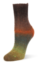 Flotte Socke kolibri - 6206