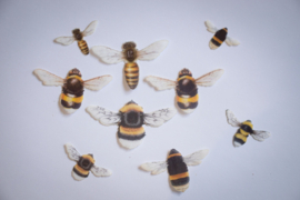 Beautiful bees