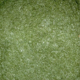 Glitter groen 10 gr
