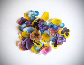 Make a Pansy Flower kit