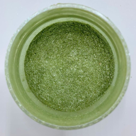 Glitter groen 10 gr