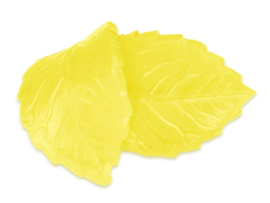 Food spray Yellow