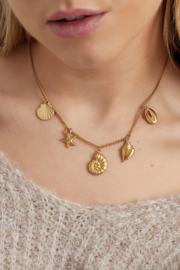 Bedelketting Zeeschelpen