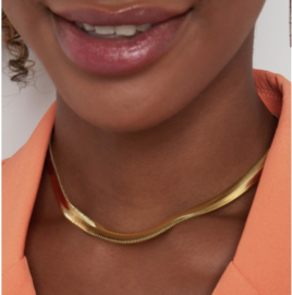 Ketting Scubby
