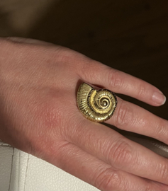 Ring Hoornschelp