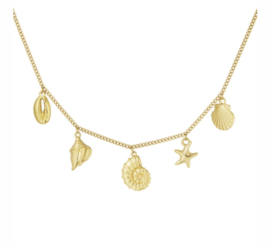 Bedelketting Zeeschelpen