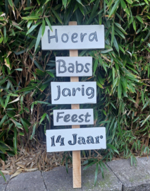 Wegwijzer Babs 14 jaar