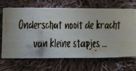 Onderschat nooit de kracht van kleine stapjes..