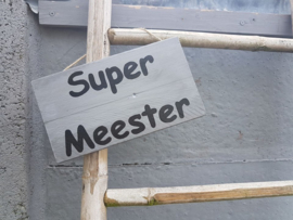 Super meester