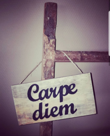 Tekstbordje Carpe Diem