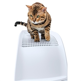 Imac kattenbak Frida