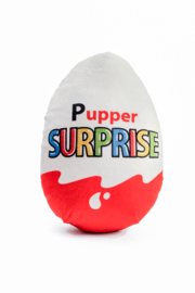 Pupper Suprise