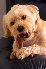 Bamboodles