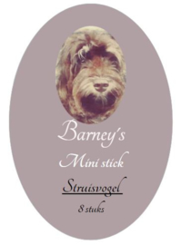 Barney's Mini Sticks Struisvogel