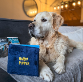 Paw Story Magic Snuffelbook