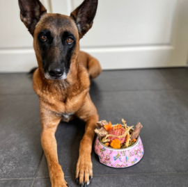 Paw Story Avenue Classic Bowl - Rosy Paradise