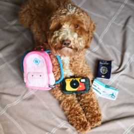 Snuffles Billy Backpack 3-in-1