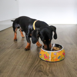 Paw Story Avenue Classic Bowl - Harvest Gold