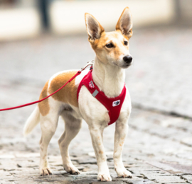 Curli Vest Harness Air-Mesh