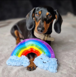 Paw Story Rainbow Ray