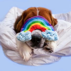Paw Story Rainbow Ray