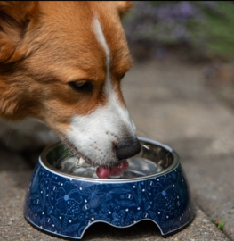 Paw Story Avenue Classic Bowl - Midnight Blue