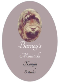 Barney's Mini Sticks Konijn