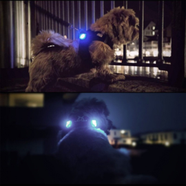 Luumi Led lampjes (set van 2)